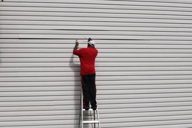 Best Brick Veneer Siding  in Hidden Valley, IN
